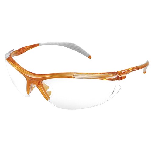 Schutzbrille Easto klar